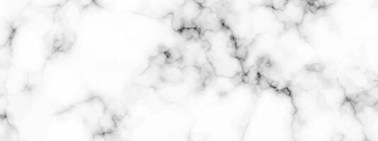 White marble texture background vector