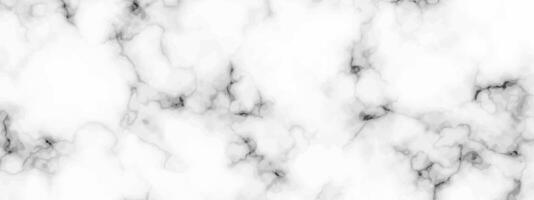 White marble texture background vector