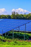 Generating clean energy with solar modules in a big park in nort photo