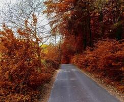 Beautiful panorama view on a golden autumn landscape found in eu photo