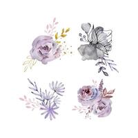 Watercolor set of bouquets dark roses vector