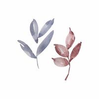 Watercolor boho leaves set vector