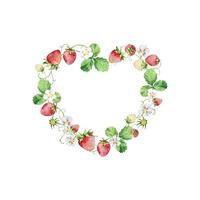 Watercolor strawberries heart wreath, red berries vector