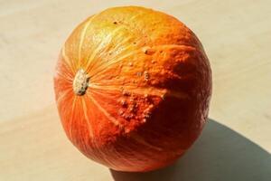 Beautiful orange pumpkin on a wooden background during helloween with copy space photo