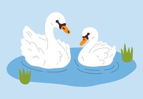 cartoon swan family vector