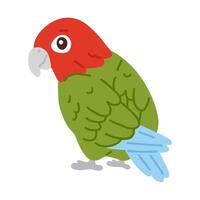 doodle cartoon parrot vector