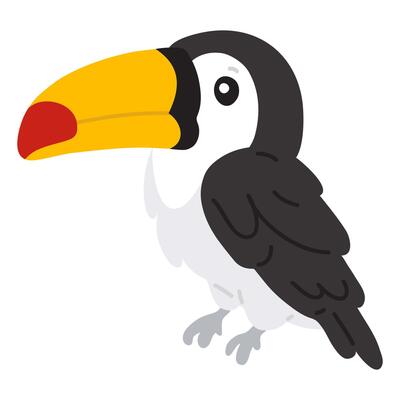 illustration doodle toucan