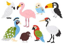 set of tropical birds vector