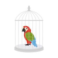 macaw parrot in cage vector