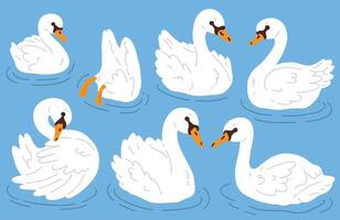 conjunto de dibujos animados cisnes vector