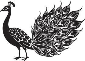Peacock with black and white feathers. illustration for design vector