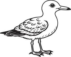 Seagull - Black and White Cartoon Illustration, Art vector