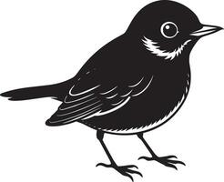 Blackbird on a white background, illustration vector