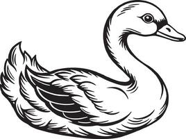 Swan - Black and White Illustration, Isolated On White Background vector