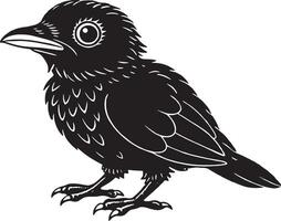 Black baby crow on a white background, illustration, vector