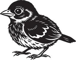 negro y blanco ilustración de un pequeño pájaro aislado en blanco antecedentes vector