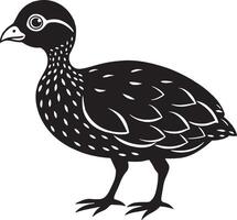 black and white illustration of a quail on a white background vector
