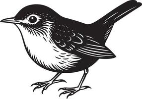 Blackbird isolated on white background. illustration for your design. vector