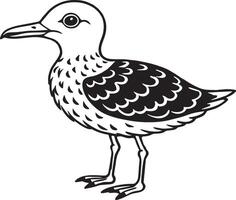 Black and white illustration of a seagull on a white background vector
