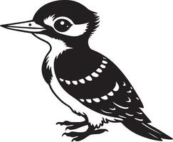 image of a black and white woodpecker on a white background vector