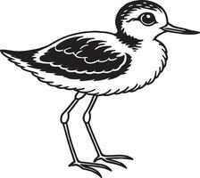 Avocet. Black and white illustration of a bird. vector