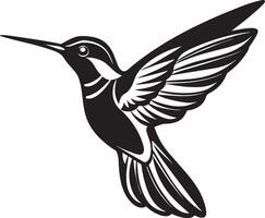 Hummingbird - Black and White Illustration - Isolated on White Background vector