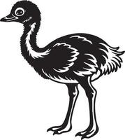 Emu - black and white illustration - isolated on white background vector