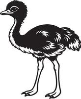 avestruz. negro y blanco ilustración de un avestruz. vector