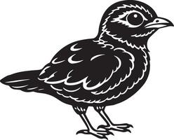 Black and white illustration of a bird on a white background. vector