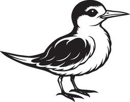 Seagull Bird - Black and White Cartoon Illustration vector