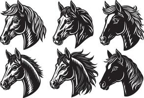 Horse head set - black and white illustrations. Isolated on white background. vector
