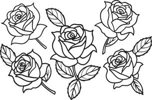 Set of hand drawn roses. Black and white. illustration. vector