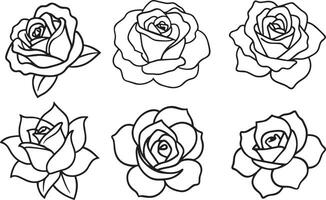 Set of outline black and white roses isolated on white background. illustration. vector