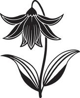 Black and white flower with leaves isolated on white background. illustration. vector