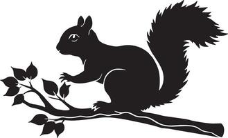 Squirrel sitting on a tree branch. illustration isolated on white background. vector