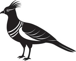 Faisán pájaro silueta aislado en blanco antecedentes. ilustración. vector