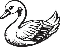 Swan - Black and White Illustration, Isolated On White Background vector