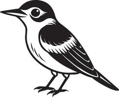 pájaro en un blanco antecedentes. ilustración en negro y blanco colores. vector