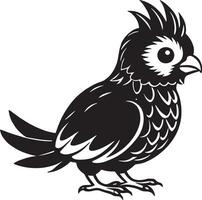 Black Cockatoo - Black and White Illustration - Isolated On White Background vector