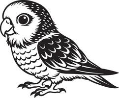 Parrot - Black and White Illustration, Isolated On White Background vector