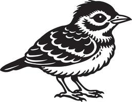 Sparrow - black and white illustration of a sparrow vector