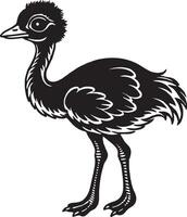 Ostrich. Black and white illustration of an ostrich. vector