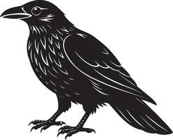 negro cuervo en un blanco antecedentes ilustración, vector