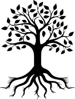Beautiful Silhouette Tree Image