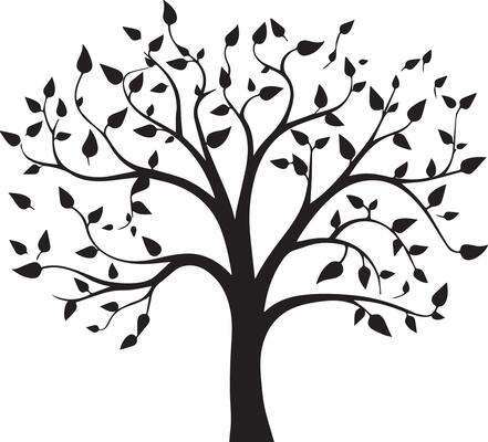 Beautiful Silhouette Tree Image