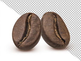 Two roasted coffee beans isolated on white background psd