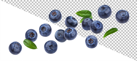 Falling blueberry isolated on white background psd