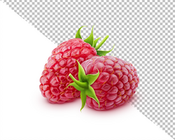 Raspberry isolated on white background psd