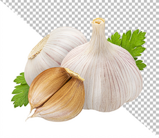 Garlic isolated on white background with clipping path psd