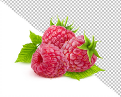 Raspberry isolated on white background psd